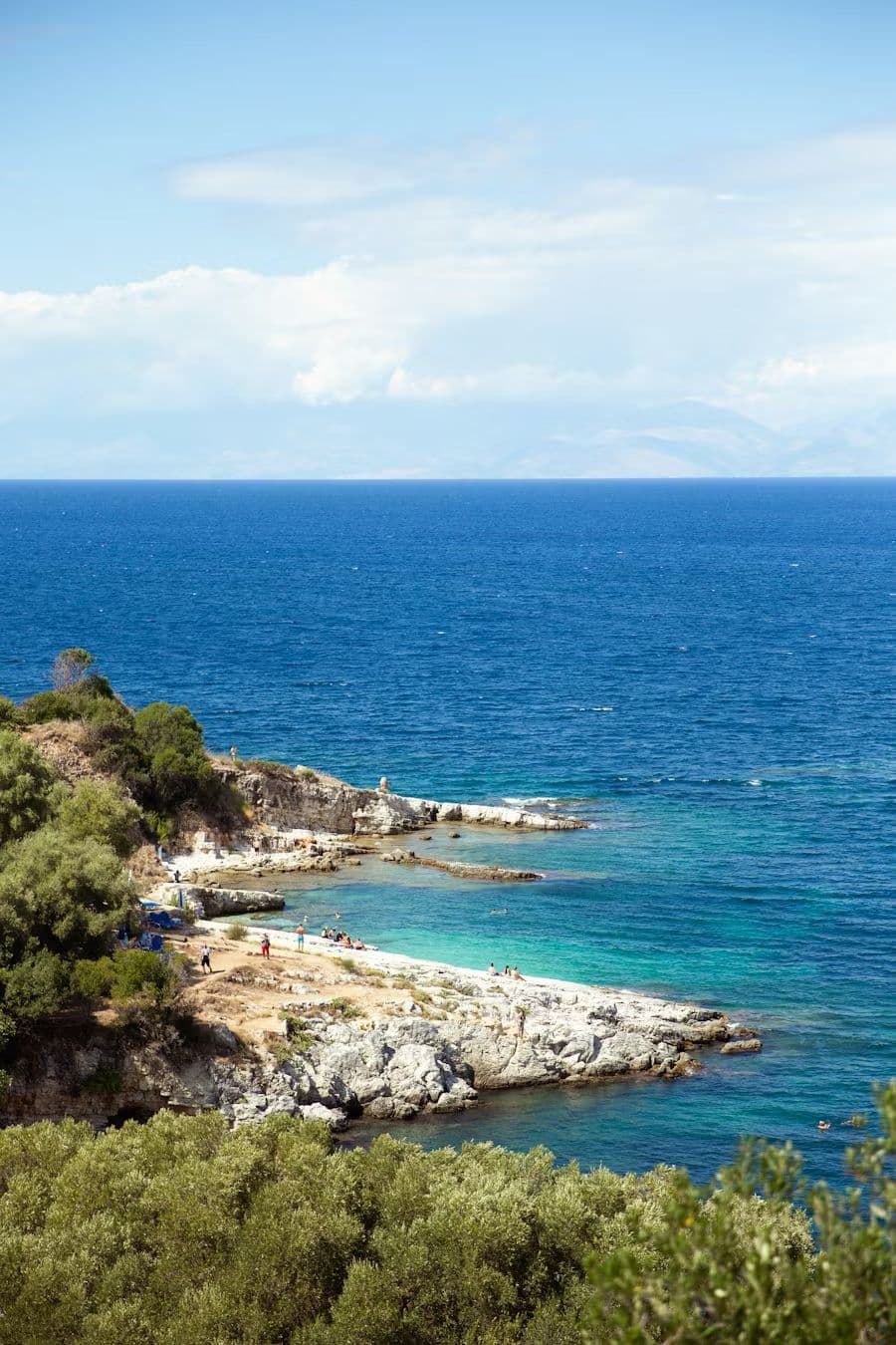 Mediterranean